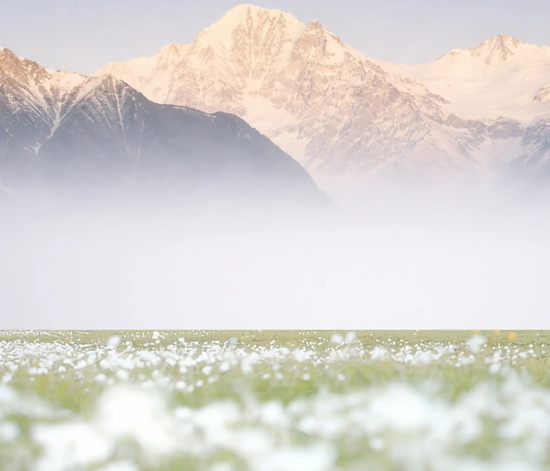 ARCA AI hero background