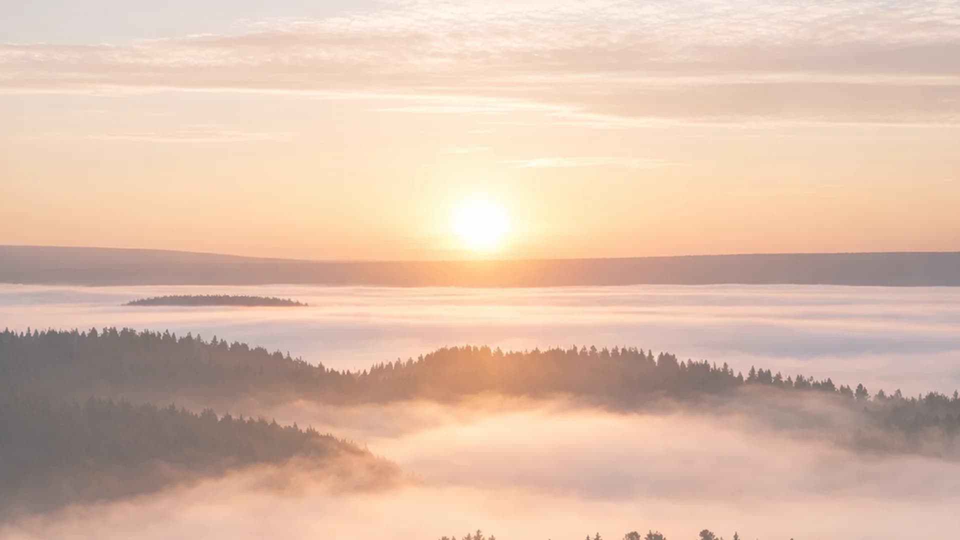 ARCA AI hero background