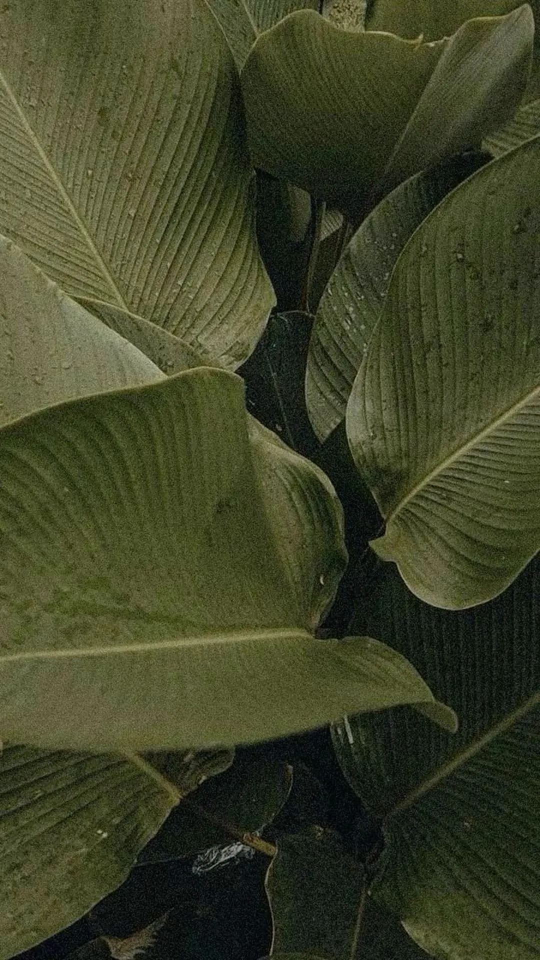 Cta Image